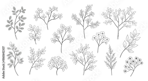 Collection of delicate hand drawn botanical sprigs, leaves, and branches in a vintage sketch style for nature themed designs and decor.