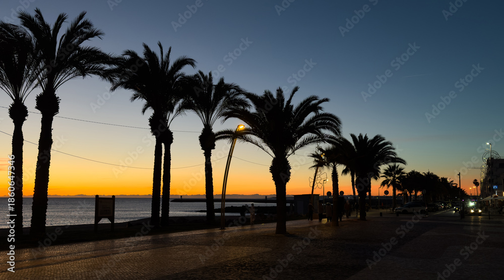 Obraz premium beautiful alley with palm trees aerial view, pedestrian street at sunset view, promenade at exotic tropical resort