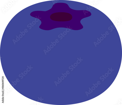 vector illustration of a blueberry