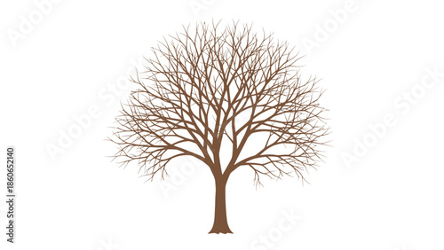 Isolated black vector silhouette of a single leafless oak tree branch with bare winter wood trunk and dead branches design on a white background