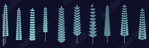 A collection of stylized cyan plant stalks against a dark background, representing grains or decorative flora