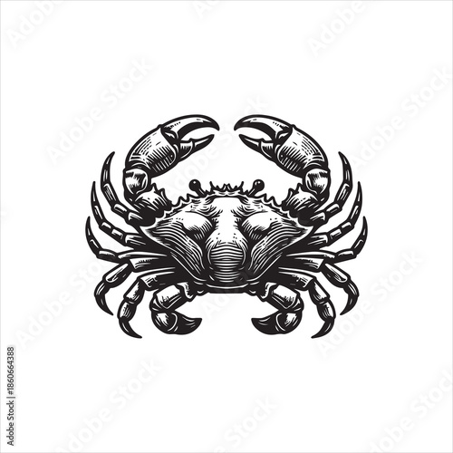 A detailed illustration of a crab with raised claws on a white background, showcasing a vector-style graphic design.