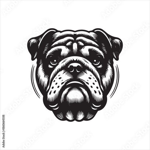 A detailed black and white illustration of a bulldog's head with a wrinkled face and a neutral expression against a clean white background.