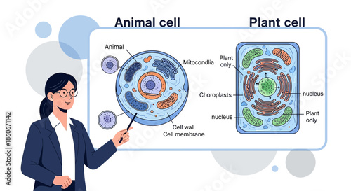 Illustration of a woman presenting animal and plant cells in a diagram for educational purposes