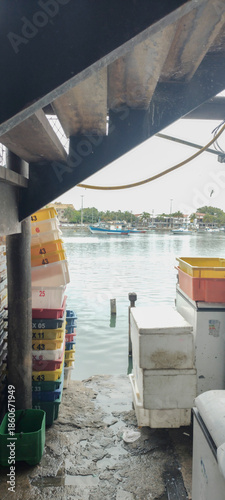 Fish market birds heron fish container viewpoint pattern city village bay beach sea lake water sky clouds landscape path parking square deck wood boat sailboat fishing boat motorboat vacation trip