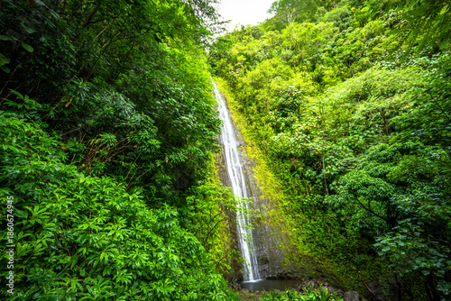Oahu, Hawaii, Manoa Falls in the winter of 2025