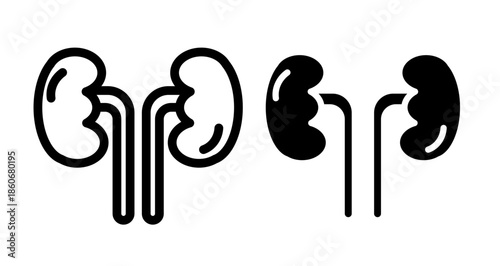 Kidney Icon collection in filled and stroke style.