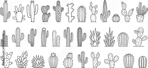 Black and white vector set of cactus and succulent line art illustrations featuring various desert plants for summer nature design.
