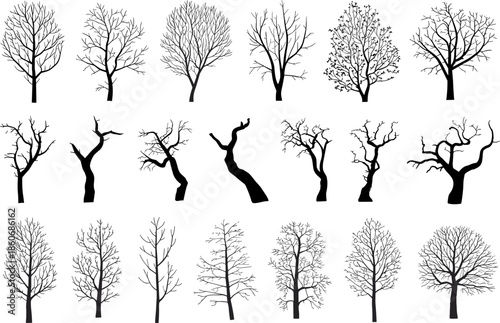 Collection of Bare Winter Tree Silhouettes Featuring Dead Branch Outlines and Leafless Trunk Vectors for Seasonal Landscape Graphic Design Projects