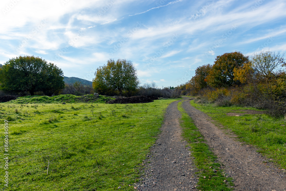 Obraz premium country road in the countryside