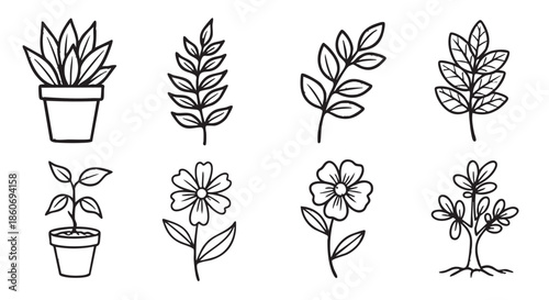 Black and white outline illustrations of plants and flower on white background
