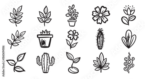 Botanical Illustration with Hand Drawn Leaves and Cacti Black and White