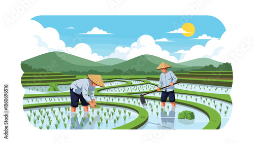Modern vector illustration of rice plantation with farmers working in paddies, traditional agriculture and staple food production concept