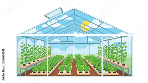 Modern vector illustration of greenhouse farming with plants in rows, sustainable agriculture and controlled environment farming concept
