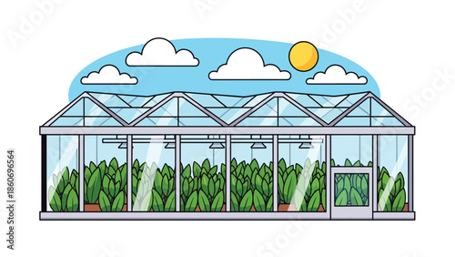 Modern vector illustration of greenhouse farming with plants in rows, sustainable agriculture and controlled environment farming concept