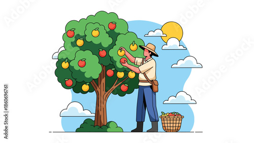 Modern vector illustration of plantation worker harvesting fruits from trees, tropical agriculture and agribusiness concept