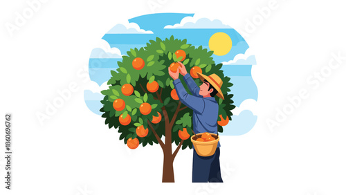 Modern vector illustration of plantation worker harvesting fruits from trees, tropical agriculture and agribusiness concept