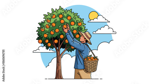 Modern vector illustration of plantation worker harvesting fruits from trees, tropical agriculture and agribusiness concept