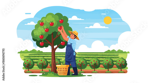Modern vector illustration of plantation worker harvesting fruits from trees, tropical agriculture and agribusiness concept