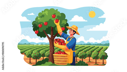 Modern vector illustration of plantation worker harvesting fruits from trees, tropical agriculture and agribusiness concept