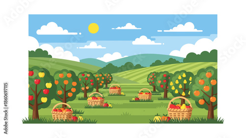Modern vector illustration of fruit orchard with trees in rows and harvest baskets, agriculture and seasonal farming concept