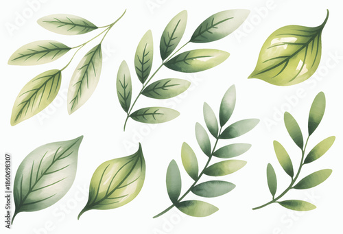 Soft botanical leaf collection painted in gentle watercolor tones. Botanical set of tropical foliage branch.

