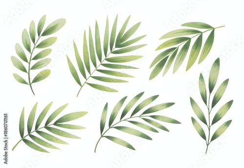 Botanical palm leaves collection. Watercolor tropical leaves on white background.