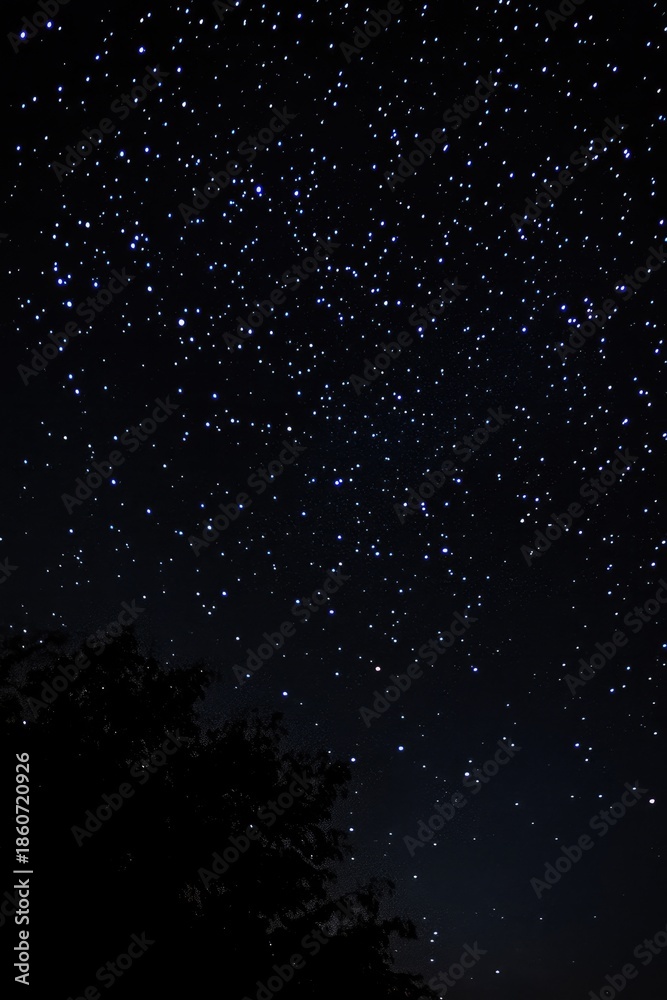 Fototapeta premium Clear Starry Night Sky with Bright Stars and Dark Silhouette Landscape
