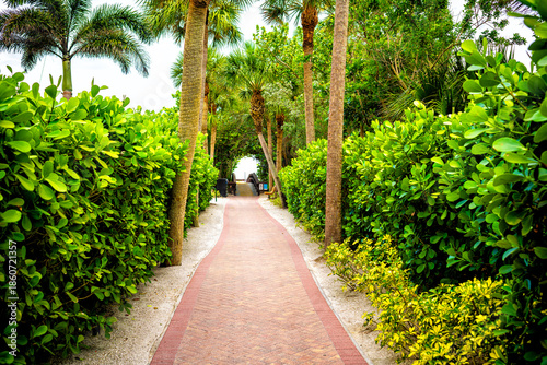 Wallpaper Mural Marco Island of Southwest Florida path wooden boardwalk to beach access with benches and bike rack parking Torontodigital.ca