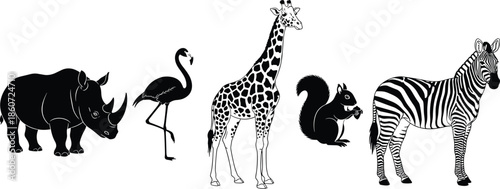 african, wildlife, animal, silhouettes, rhinoceros, flamingo, giraffe, squirrel, zebra, black, white, vector, illustration, safari, zoo, nature, fauna, isolated, design, collection