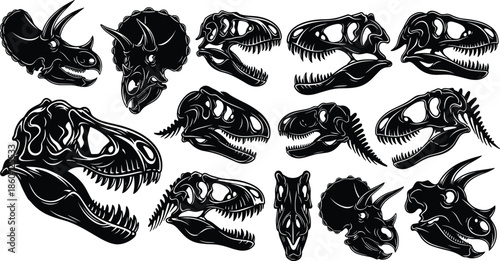 prehistoric, dinosaur, skulls, silhouettes, set, tyrannosaurus, triceratops, fossil, heads, black, white, vector, illustration, paleontology, science, art, extinct, reptiles, collection, design