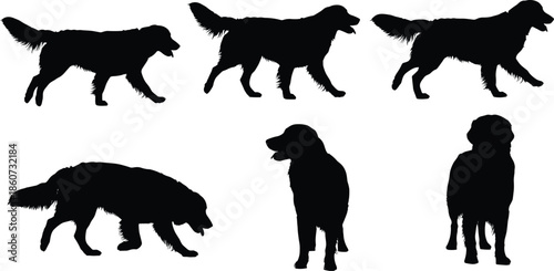 Black silhouette of dogs in various poses silhouettes white background canine