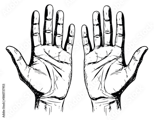 Hand drawn line art hands set featuring open palms for various design concepts