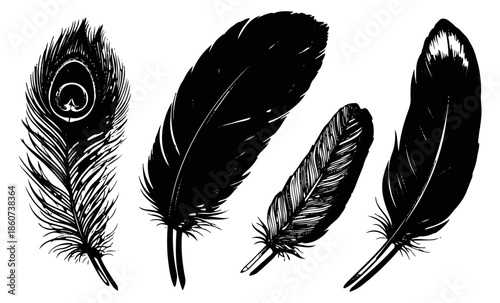 Hand drawn line art feather set featuring various bird feathers including a peacock feather for creative designs and decorative elements