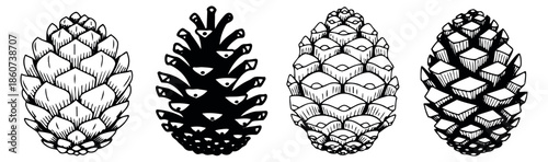 Hand drawn line art pinecone set featuring various artistic styles for nature and holiday designs