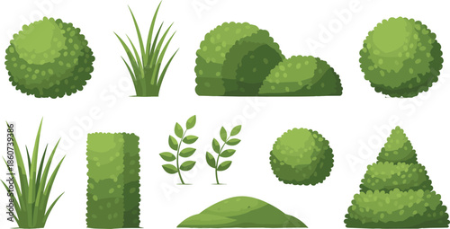 Various Green Bushes and Plants on White Background shrubs trees foliage
