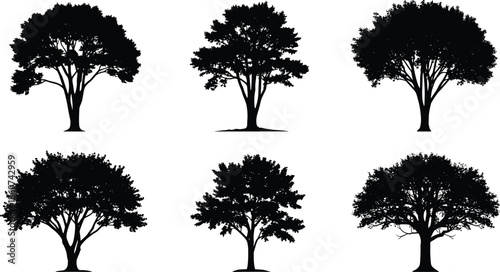 Black silhouettes of trees on white background leafy trees