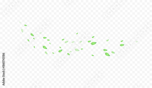 Green leaves pattern