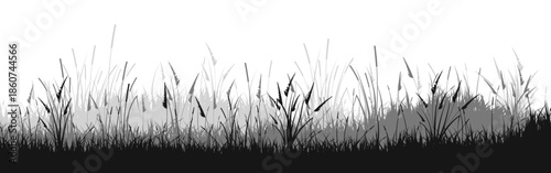 Meadow silhouette with grass, plants on plain. Panoramic summer lawn landscape with herbs, various weeds. Herbal border, frame element. Black horizontal banners. Vector illustration