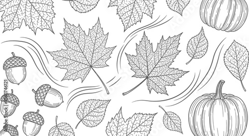 Detailed line art illustration of fall leaves acorns and pumpkins.
