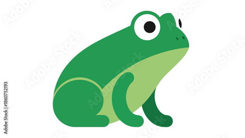 Green frog sitting illustration