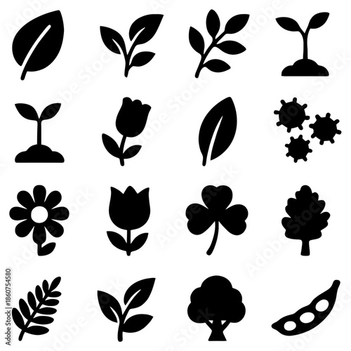 Floral and Botanical Silhouette Collection: A visually appealing compilation of intricate silhouettes depicting various botanical elements, including leaves, flowers, and foliage.