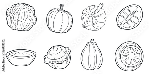 A collection of various vegetables including pumpkins, squash, and melons in outline vector style, perfect for culinary and health-related designs