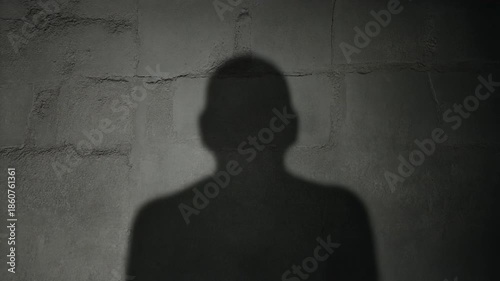 Dark shadow of a person cast on a textured wall in a dimly lit room.
