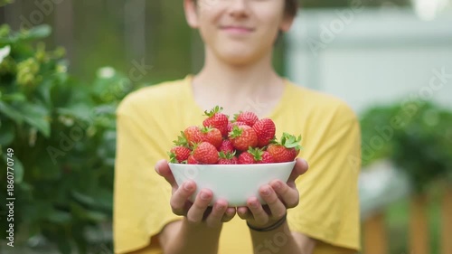 Boy child teenager harvesting strawberries on high raised garden bed. Modern farming methods provide fresh fruit full of vitamins. Healthy eating and gardening with natural lifestyle.