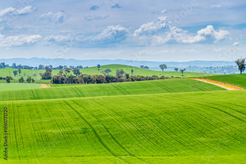 Tranquil Spring countryside in the Central West of NSW