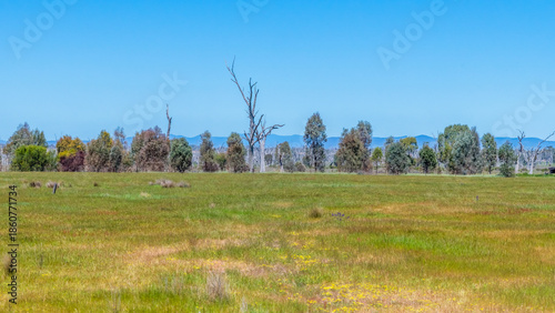 Winton Wetlands Reserve