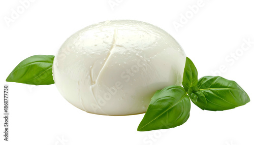 A fresh, white mozzarella ball rests beside green basil leaves, set against a dark backdrop