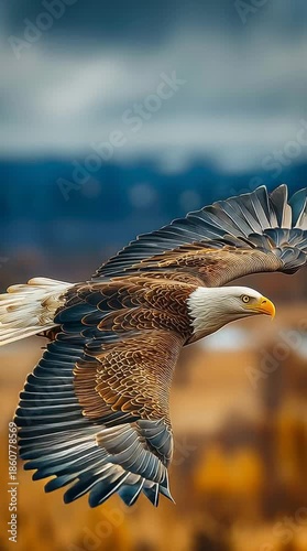 Majestic Eagle Soaring High in the Sky Wildlife Scene Generative AI