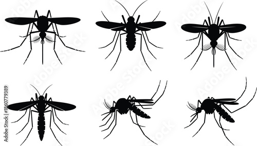 Mosquito silhouettes vector collection, flying insect poses, disease carrier bugs, black detailed entomology illustrations set isolated on white background